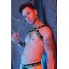 Breedwell Harnais Equalizer Noir-Vert neon